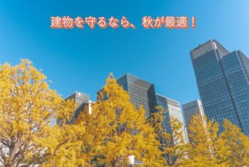季節の変わり目、建物を守るなら『秋』が最適！