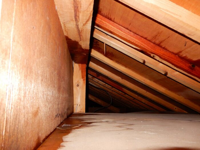 屋根裏で発生した雨漏り。建物内部の木材に雨水が染み込んでいる様子