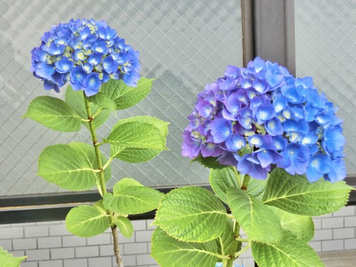 梅雨時期のアパート外観と空室対策