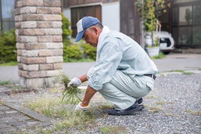 アパート敷地内で雑草を手で除去する作業