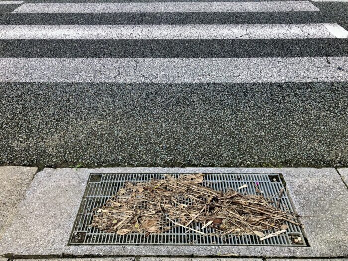 落ち葉やゴミがたまった道路脇の側溝