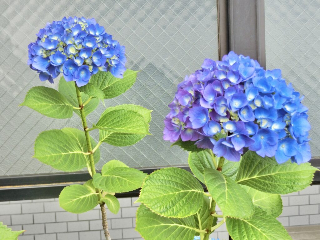 梅雨時期のアパート外観と空室対策