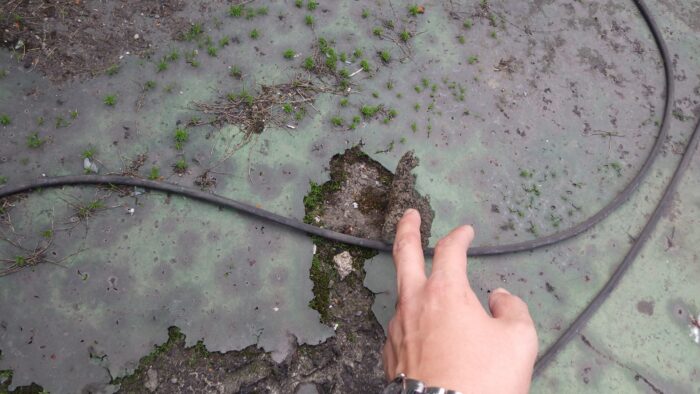 防水層が剥がれ下地が露出した屋上