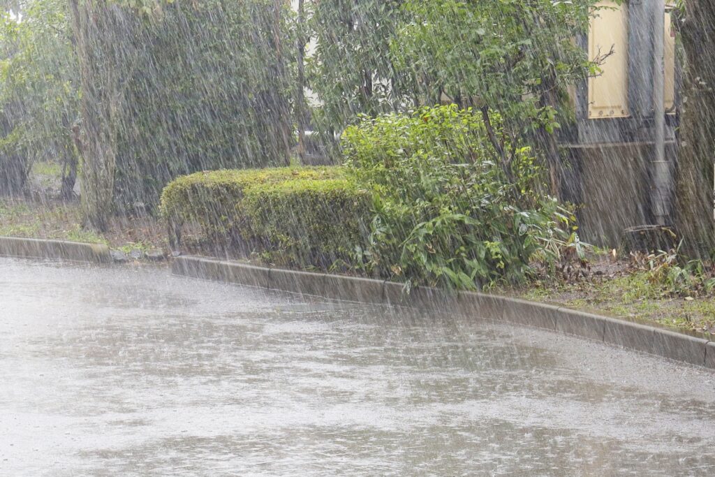 台風やゲリラ豪雨による激しい雨