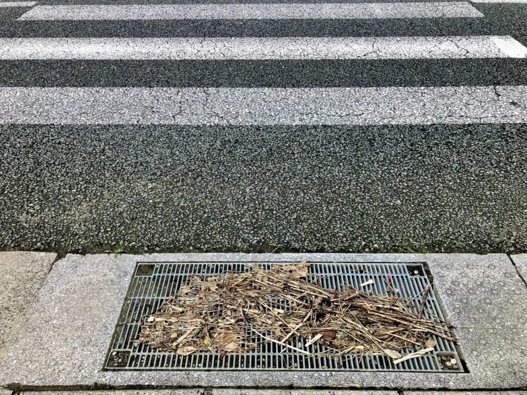 落ち葉やゴミがたまった道路脇の側溝