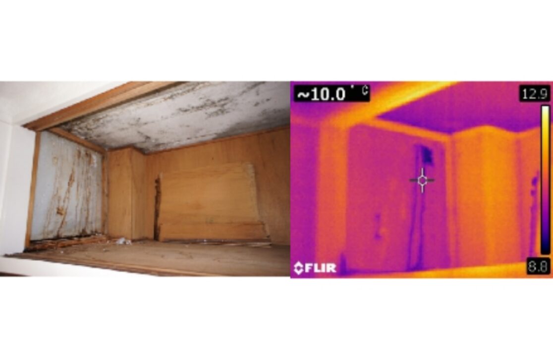建物漏水調査
