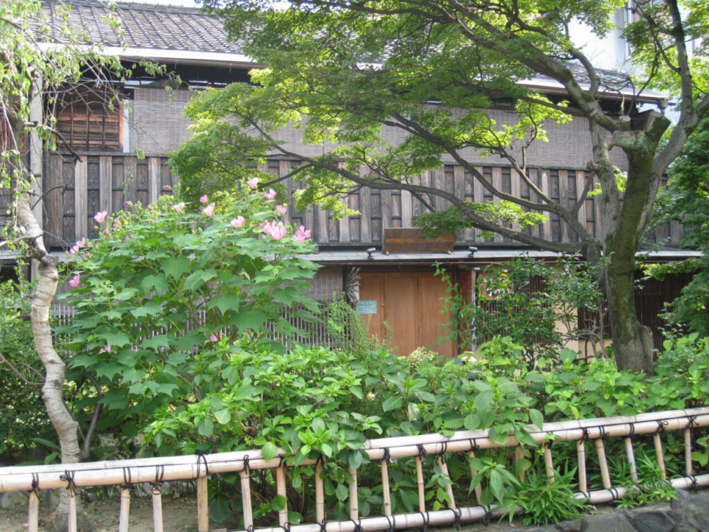 年月を経た建物と大きく育った樹木